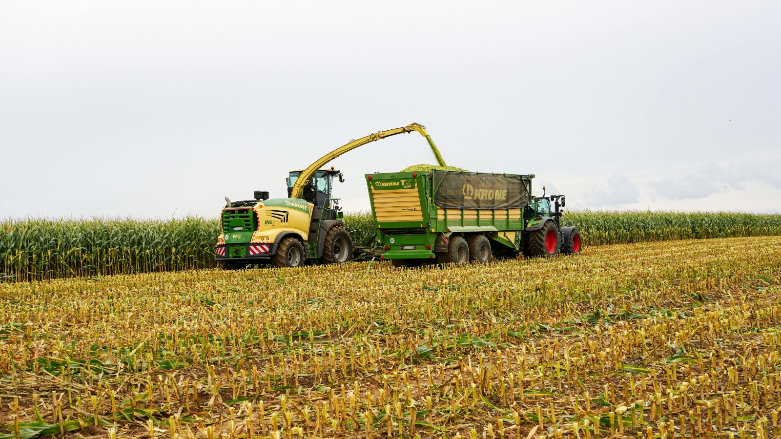 Produits agro-industriels